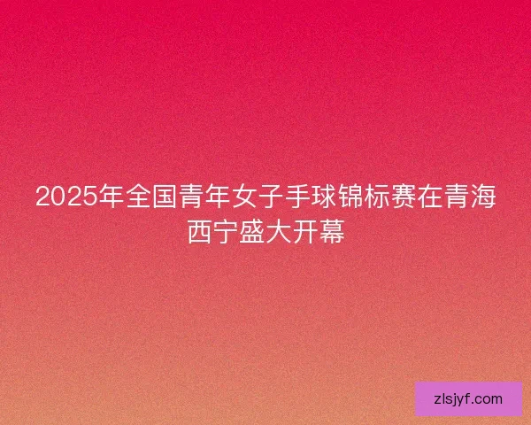 2025年全国青年女子手球锦标赛在青海西宁盛大开幕