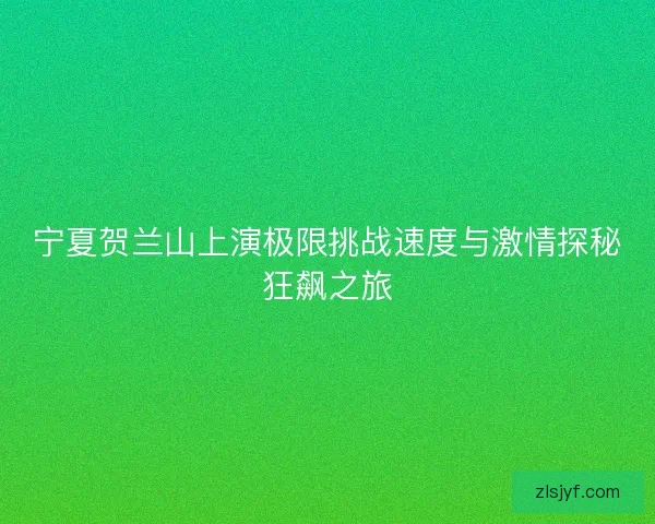 宁夏贺兰山上演极限挑战速度与激情探秘狂飙之旅
